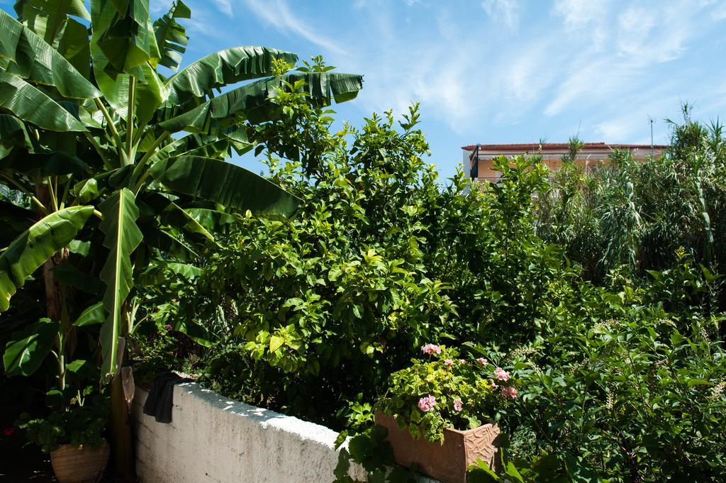 Studios Margarita Petalídhion Exterior foto